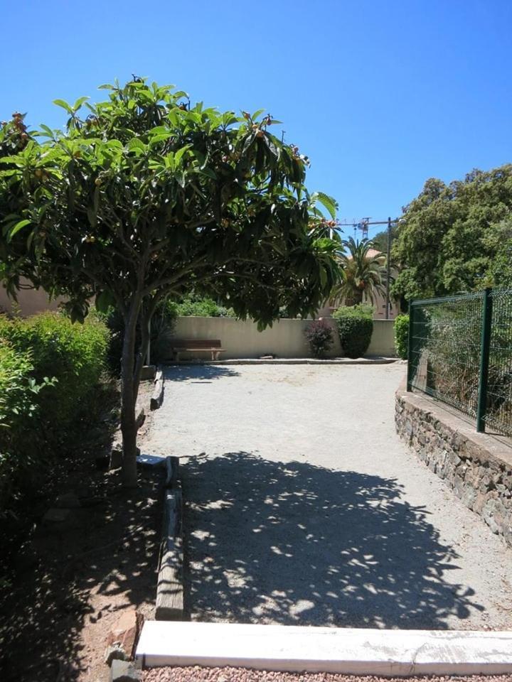 Studio B Front de Mer Saint-Raphaël Extérieur photo